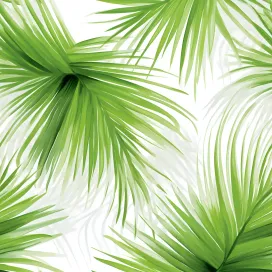 Summer Shape 399
